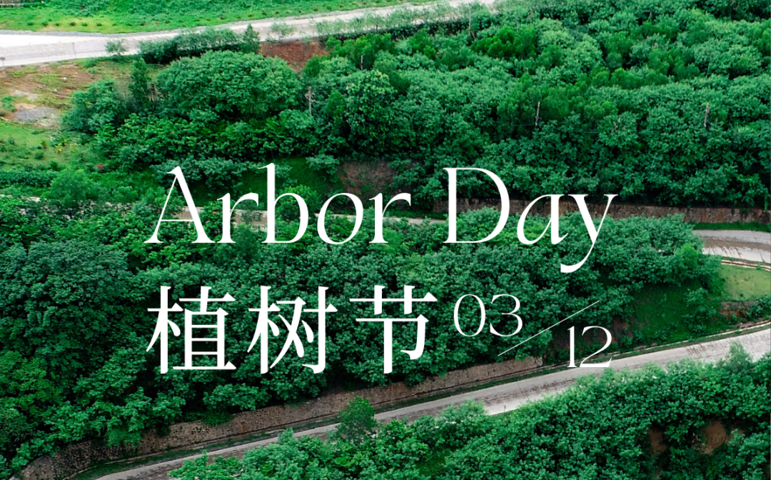 植树节 | 开元网页版-开元（中国）
的绿色画卷